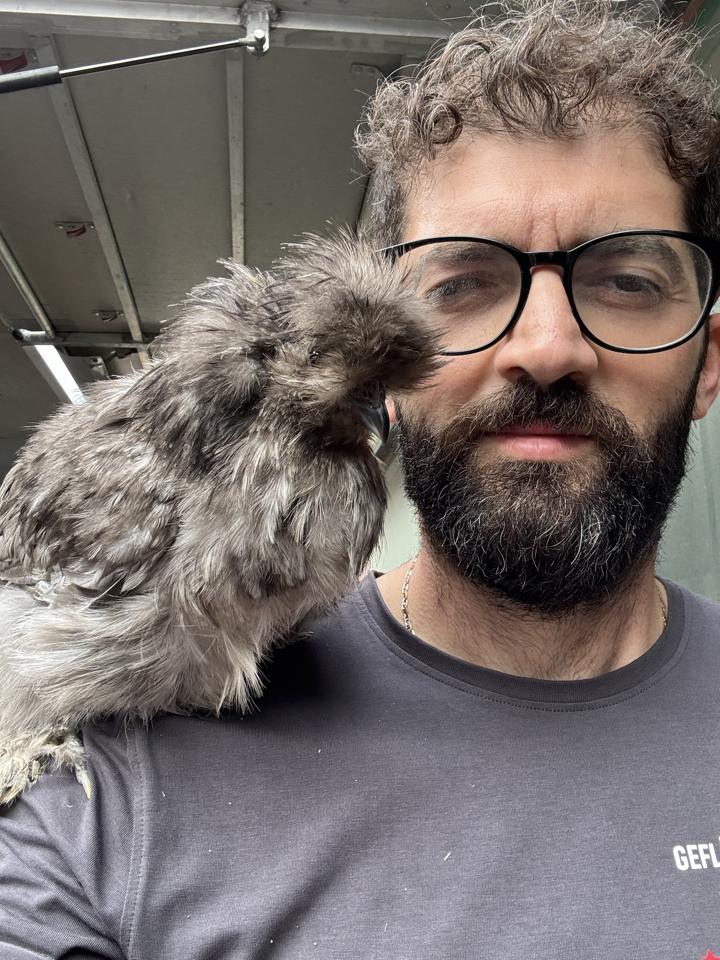 Mitarbeiter mit einem grauen Seidenhuhn auf der Schulter